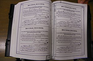 Laurens Co, GA, Marriages 1879 - 1886, P 282-283.JPG
