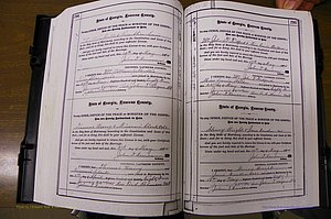 Laurens Co, GA, Marriages 1879 - 1886, P 294-295.JPG