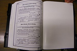 Laurens Co, GA, Marriages 1879 - 1886, P 300.JPG