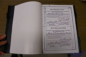 Laurens Co, GA, Marriages 1879 - 1886, P 301.JPG