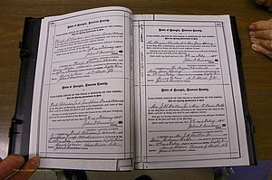 Laurens Co, GA, Marriages 1879 - 1886, P 316-317.JPG