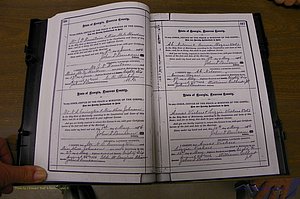 Laurens Co, GA, Marriages 1879 - 1886, P 386-387.JPG