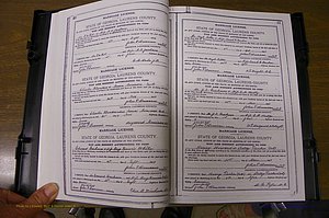 Laurens Co, GA, Marriages Book K, 1886 - 1896, P 040-041.JPG