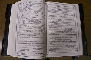 Laurens Co, GA, Marriages Book K, 1886 - 1896, P 108-109.JPG