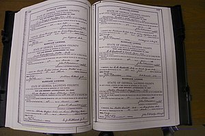 Laurens Co, GA, Marriages Book K, 1886 - 1896, P 166-167.JPG