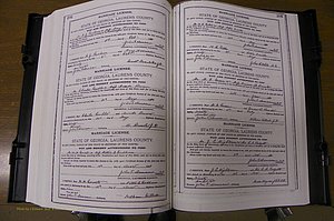 Laurens Co, GA, Marriages Book K, 1886 - 1896, P 202-203.JPG