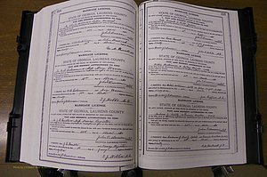 Laurens Co, GA, Marriages Book K, 1886 - 1896, P 224-225.JPG