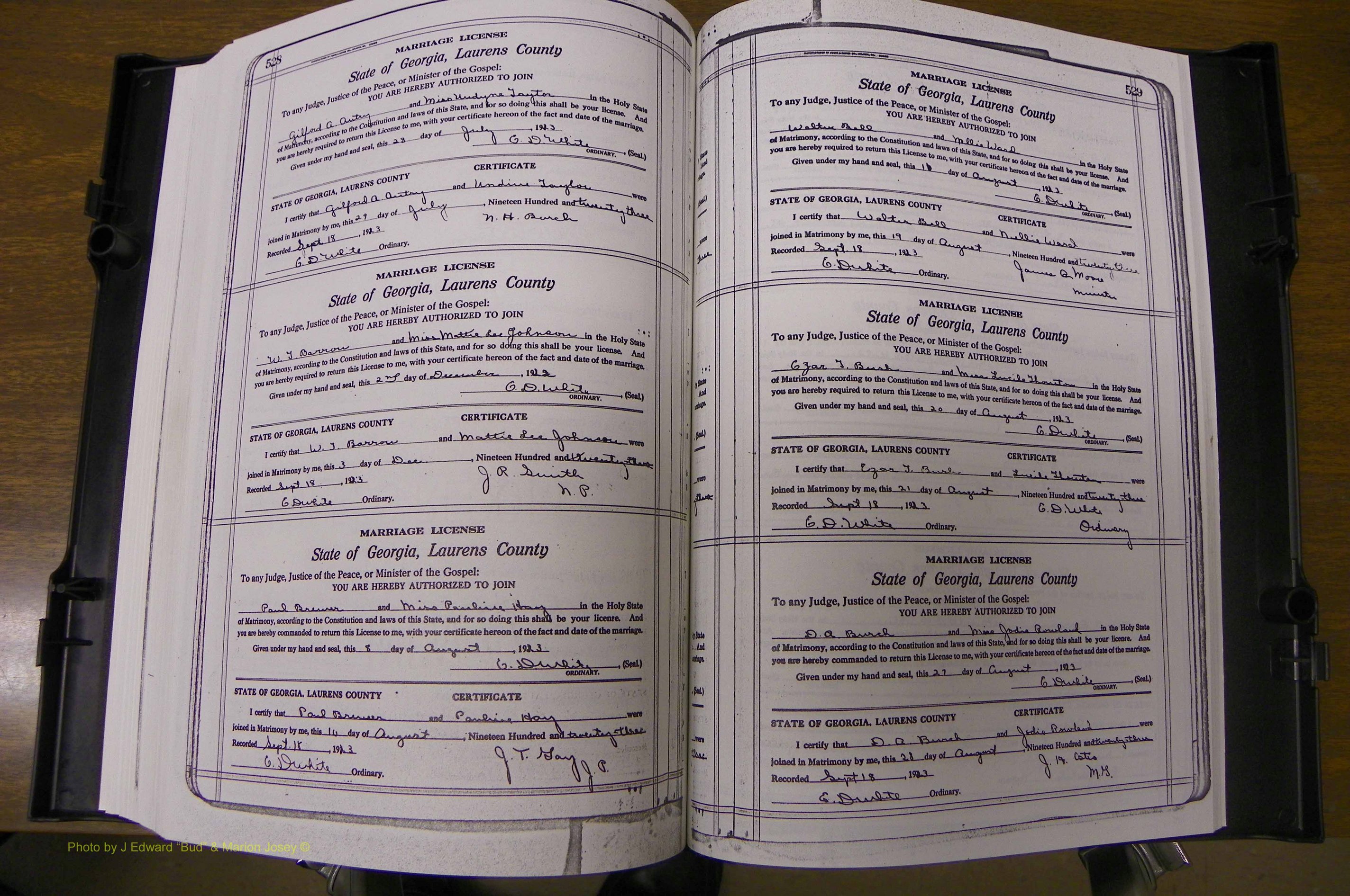 Laurens Co, GA, Marriages Book P, 1915 - 1924, White, P 528-529.JPG