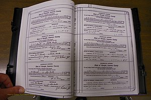 Laurens Co, GA, Marriages Book P, 1915 - 1924, White, P 018-019.JPG