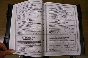 Laurens Co, GA, Marriages Book P, 1915 - 1924, White, P 030-031.JPG