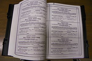 Laurens Co, GA, Marriages Book P, 1915 - 1924, White, P 060-061.JPG