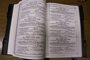 Laurens Co, GA, Marriages Book P, 1915 - 1924, White, P 092-093.JPG