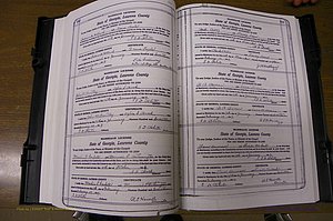 Laurens Co, GA, Marriages Book P, 1915 - 1924, White, P 110-111.JPG
