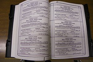 Laurens Co, GA, Marriages Book P, 1915 - 1924, White, P 112-113.JPG