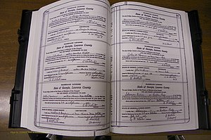 Laurens Co, GA, Marriages Book P, 1915 - 1924, White, P 144-145.JPG