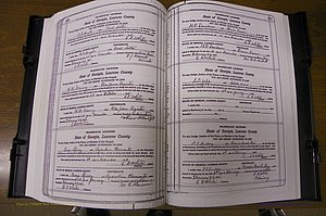 Laurens Co, GA, Marriages Book P, 1915 - 1924, White, P 170-171.JPG