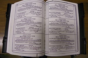 Laurens Co, GA, Marriages Book P, 1915 - 1924, White, P 508-509.JPG