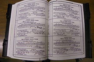 Laurens Co, GA, Marriages Book P, 1915 - 1924, White, P 526-527.JPG