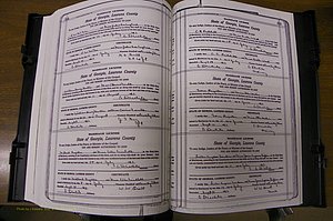 Laurens Co, GA, Marriages Book P, 1915 - 1924, White, P 534-535.JPG