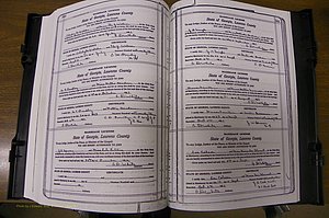 Laurens Co, GA, Marriages Book P, 1915 - 1924, White, P 540-541.JPG