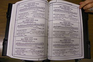 Laurens Co, GA, Marriages Book P, 1915 - 1924, White, P 550-551.JPG
