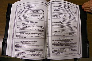 Laurens Co, GA, Marriages Book P, 1915 - 1924, White, P 580-581.JPG