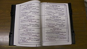 Laurens Co, GA, Marriages Book S, 1924 - 1934, White, P 010-011.JPG