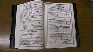 Laurens Co, GA, Marriages Book S, 1924 - 1934, White, P 012-013.JPG
