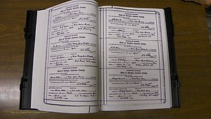 Laurens Co, GA, Marriages Book S, 1924 - 1934, White, P 044-045.JPG