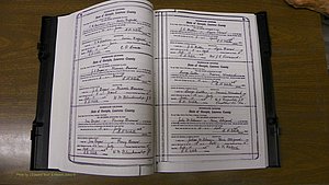 Laurens Co, GA, Marriages Book S, 1924 - 1934, White, P 050-051.JPG