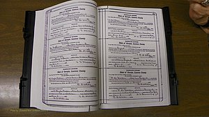Laurens Co, GA, Marriages Book S, 1924 - 1934, White, P 112-113.JPG