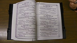 Laurens Co, GA, Marriages Book S, 1924 - 1934, White, P 114-115.JPG
