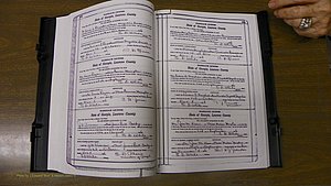 Laurens Co, GA, Marriages Book S, 1924 - 1934, White, P 118-119.JPG