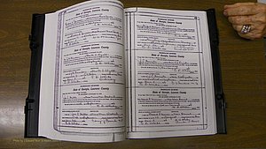 Laurens Co, GA, Marriages Book S, 1924 - 1934, White, P 120-121.JPG