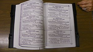 Laurens Co, GA, Marriages Book S, 1924 - 1934, White, P 124-125.JPG