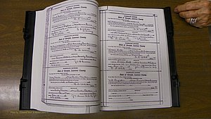 Laurens Co, GA, Marriages Book S, 1924 - 1934, White, P 126-127.JPG