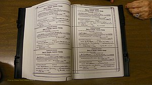 Laurens Co, GA, Marriages Book S, 1924 - 1934, White, P 130-131.JPG