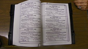 Laurens Co, GA, Marriages Book S, 1924 - 1934, White, P 134-135.JPG