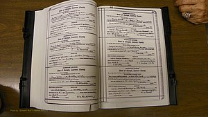Laurens Co, GA, Marriages Book S, 1924 - 1934, White, P 136-137.JPG