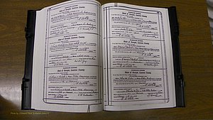 Laurens Co, GA, Marriages Book S, 1924 - 1934, White, P 144-145.JPG