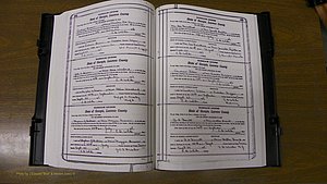 Laurens Co, GA, Marriages Book S, 1924 - 1934, White, P 162-163.JPG