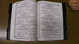 Laurens Co, GA, Marriages Book S, 1924 - 1934, White, P 212-213.JPG