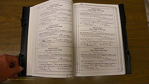 Laurens Co, GA, Marriages Book U, 1934 - 1944, White, P 010-011.JPG