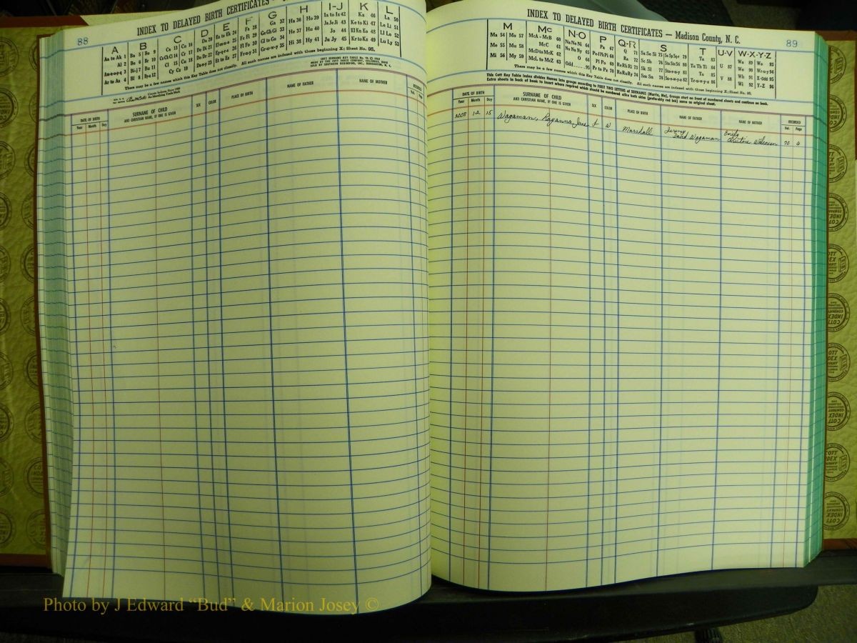 Madison Births & Deaths, Book 2, L-Z, + Delayed Book 2 390.JPG