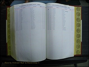 Madison Births & Deaths, Book 2, L-Z, + Delayed Book 2 307.JPG