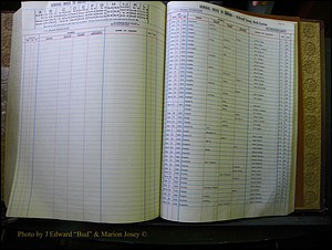 McDowell Births & Deaths 311.JPG