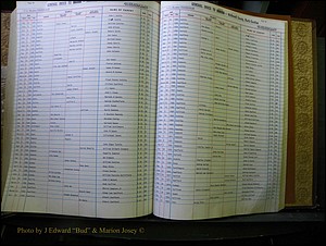 McDowell Births & Deaths 315.JPG