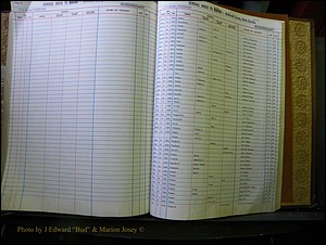 McDowell Births & Deaths 318.JPG