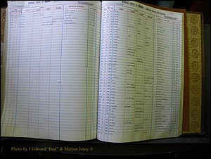 McDowell Births & Deaths 322.JPG