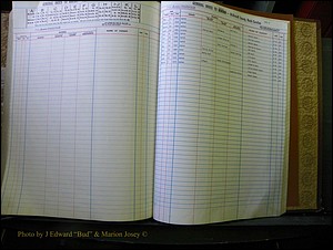 McDowell Births & Deaths 323.JPG